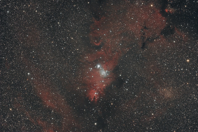 NGC 2264 V1 010224.jpg